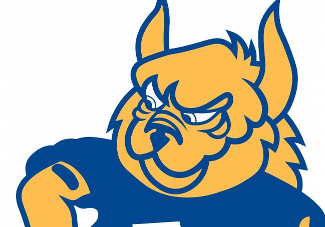 Cartoon lynx mascot in blue jersey