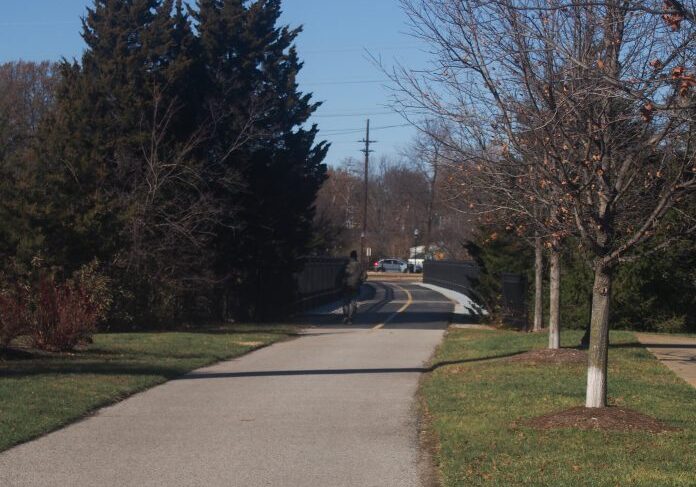 Quiet suburban road with bare trees
