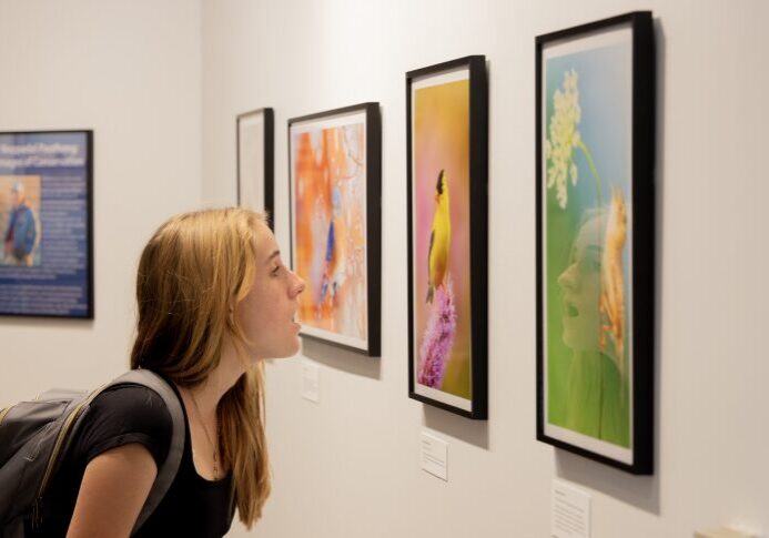 Woman admiring colorful bird artwork