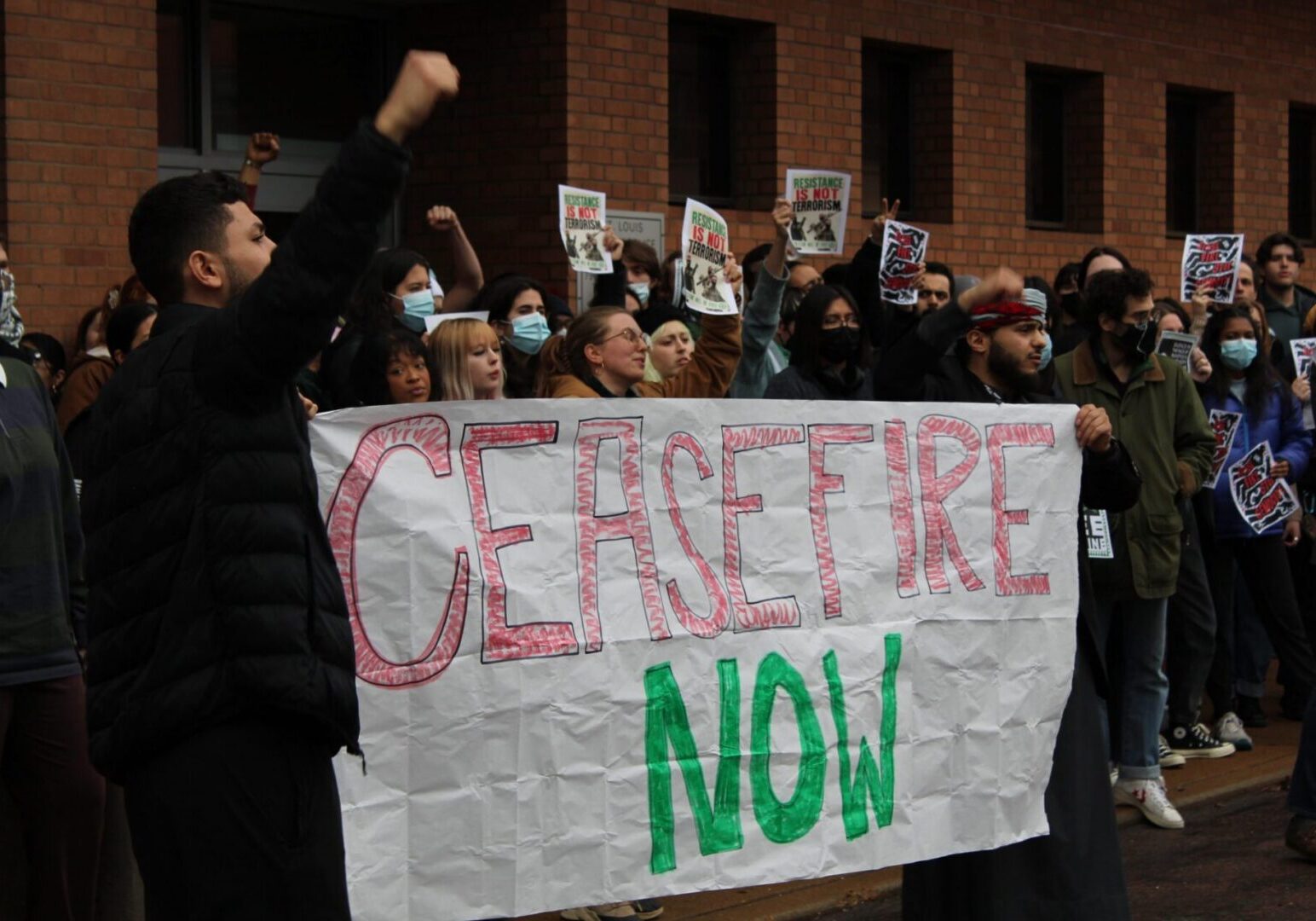 Demonstrators rally for ceasefire action