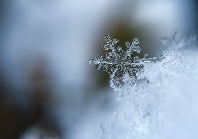 Close-up of a single snowflake