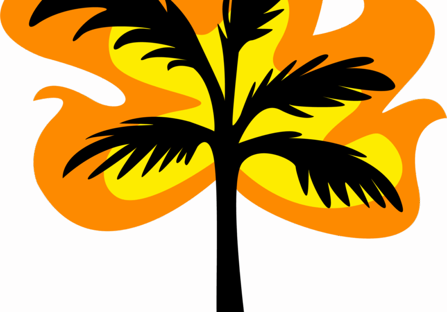 Fiery palm tree graphic on black background