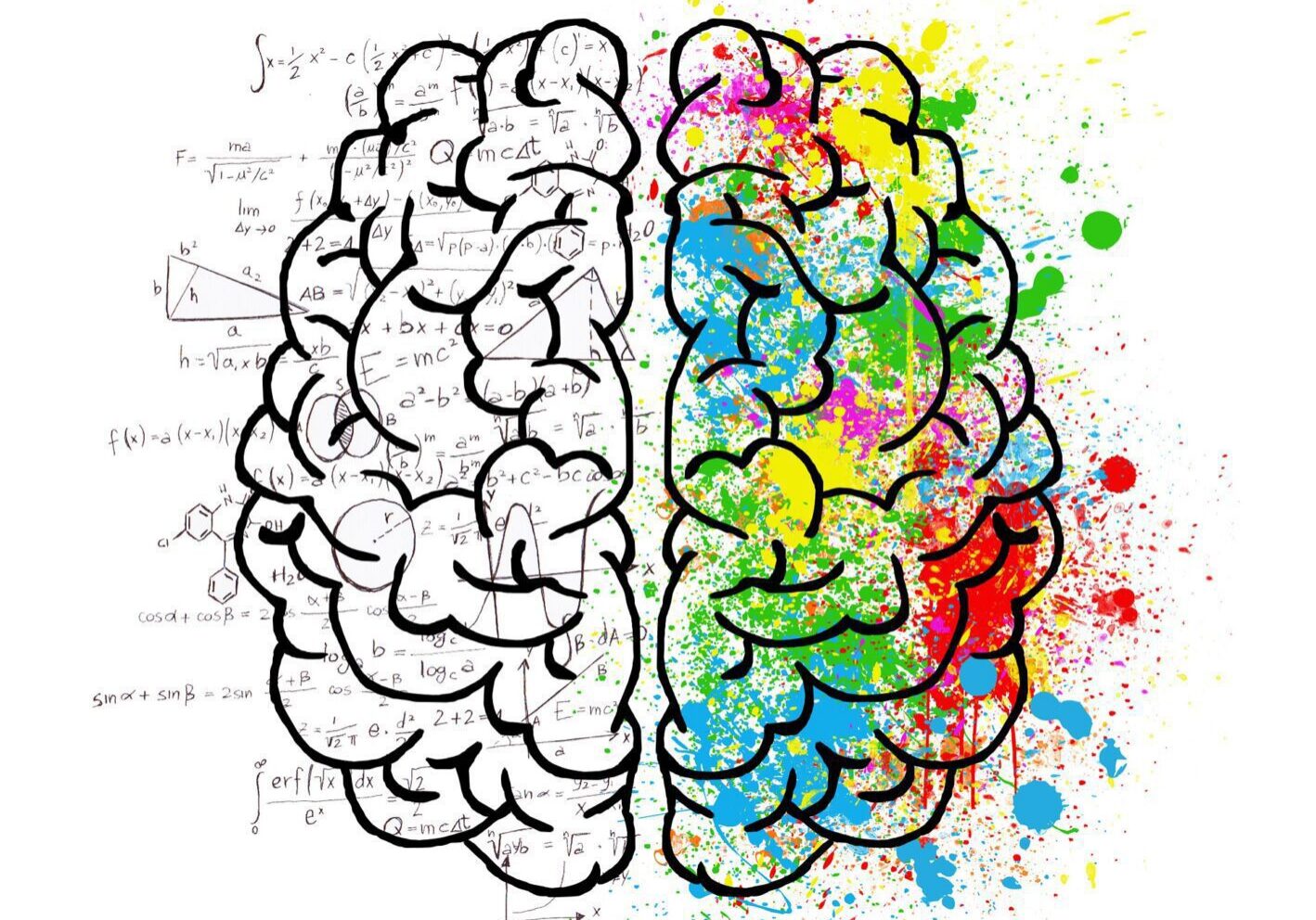 Creative and logical brain illustration
