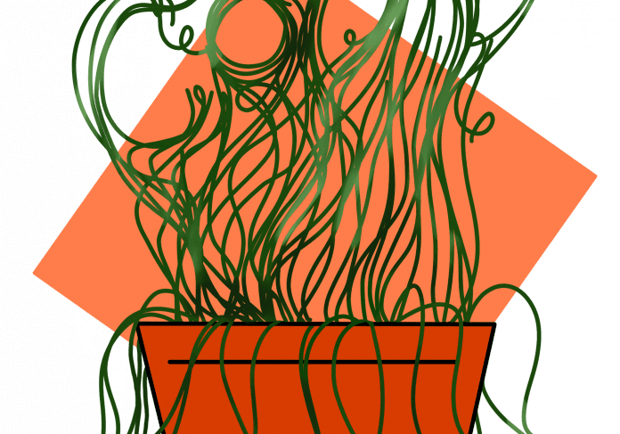 Potted plant with abstract green vines
