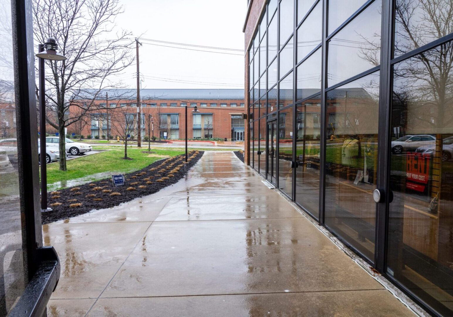 Rainy campus walkway with modern architecture