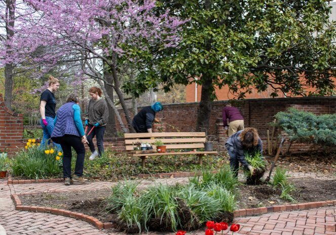 People gardening in a park