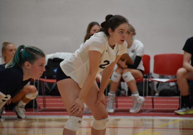 Focused volleyball athletes on court