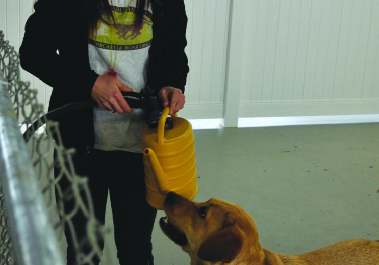 Woman with dog and watering can