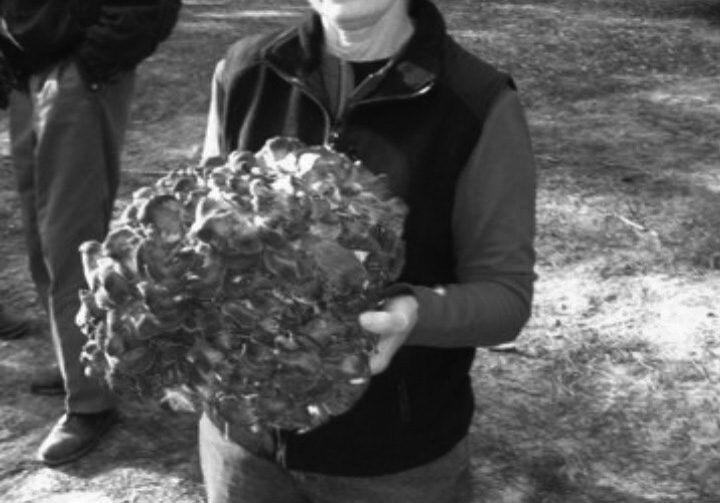Person holding large mushroom outdoors