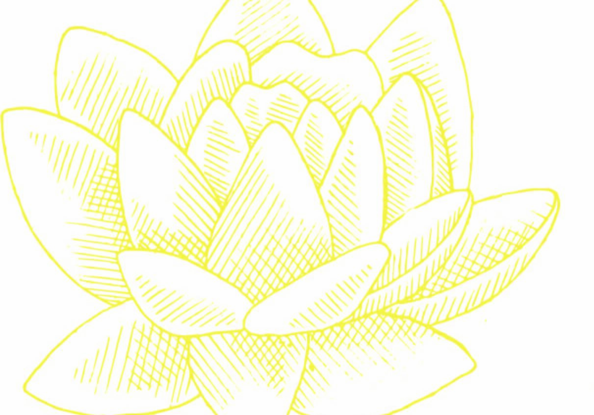 Lotus illustration with yellow outlines